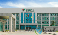 上半年收官!宜宾纸业表现如何?