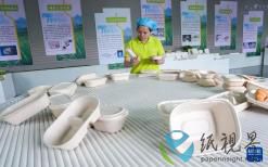 云南:甘蔗渣“变身”环保餐具